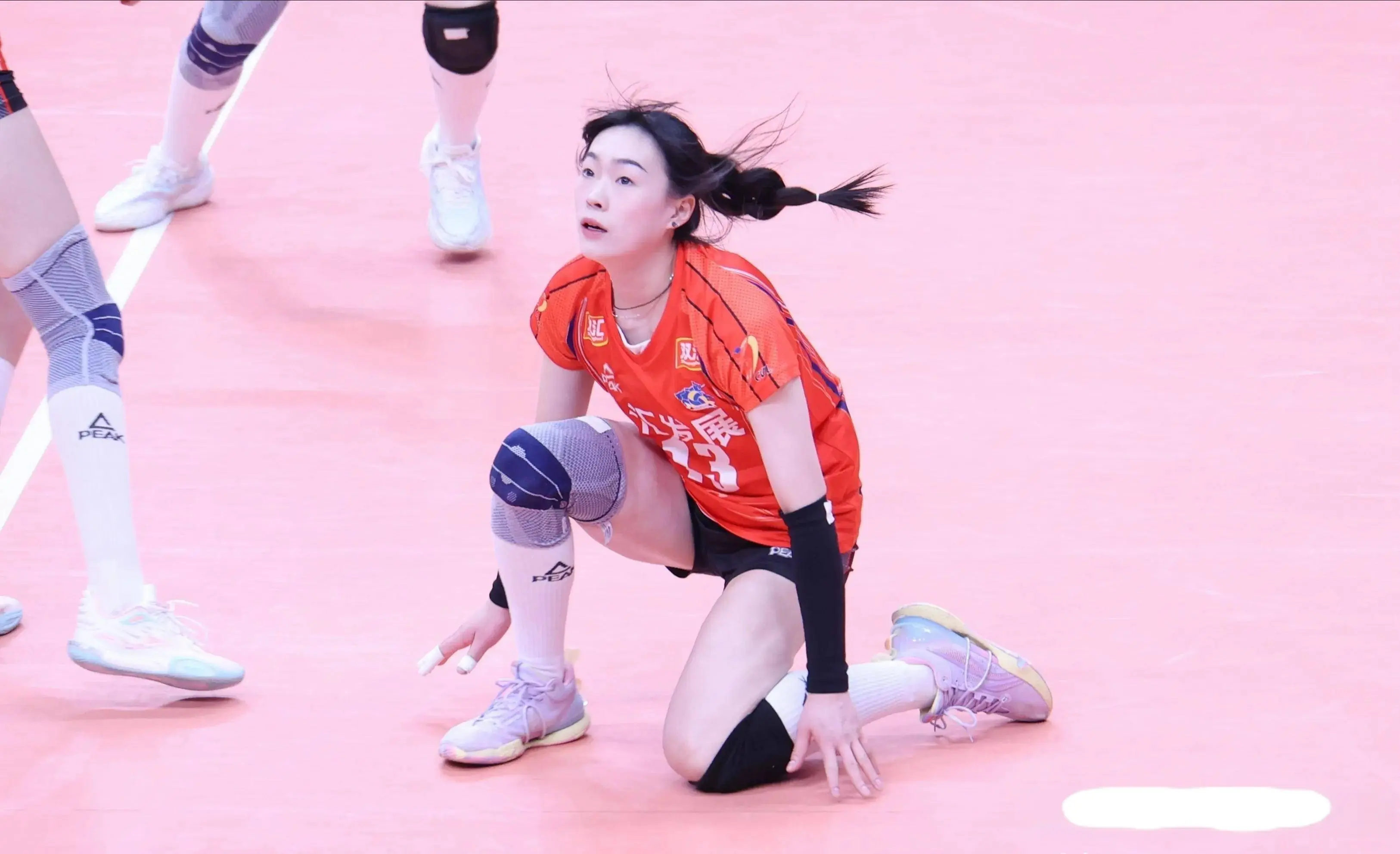 赵博雅和李 赵博雅和李